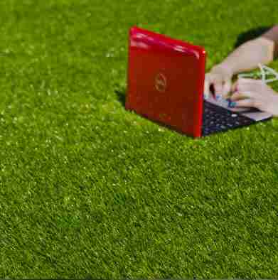 Artificial Grass
