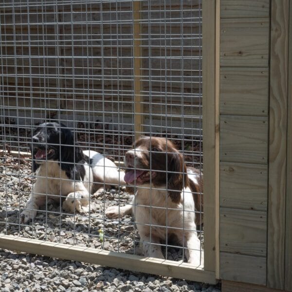 Large Dog Kennel & Run - Image 15