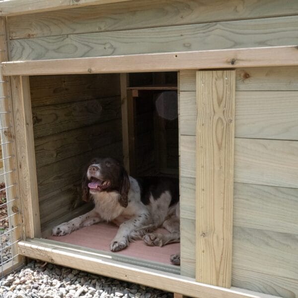 Large Dog Kennel & Run - Image 13