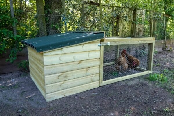 Chicken Coop and Run