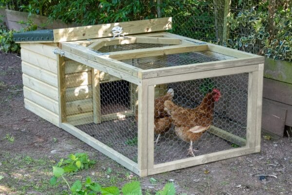 Chicken Coop and Run - Image 5