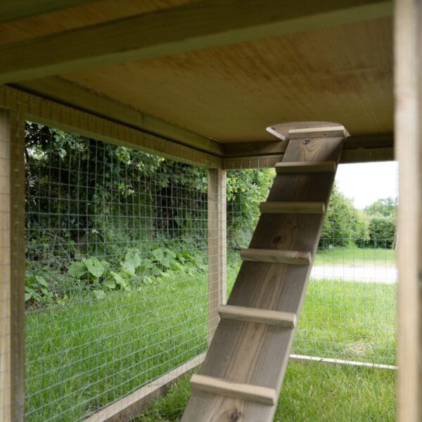 Rabbit or Guinea Pig Hutch - Image 5