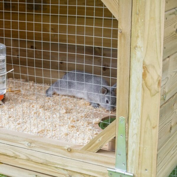 Rabbit or Guinea Pig Hutch - Image 11