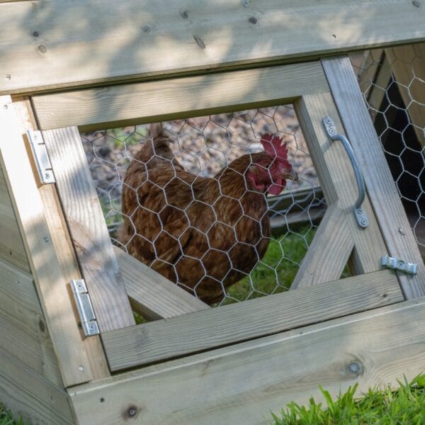 Small Hen & Chickens Starter Coop - Image 10