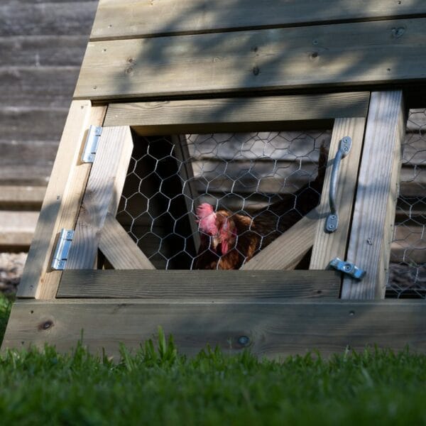 Small Hen & Chickens Starter Coop - Image 9